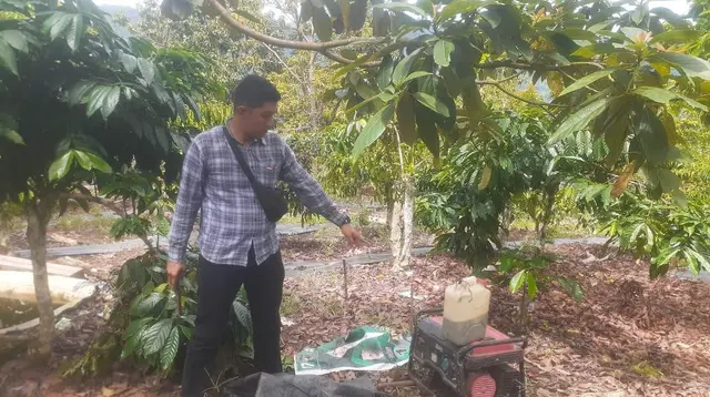 Lokasi kejadian korban terkena kabel listrik jebakan babi hutan di area kebun kopi Lampung Barat. Foto : (Istimewa)