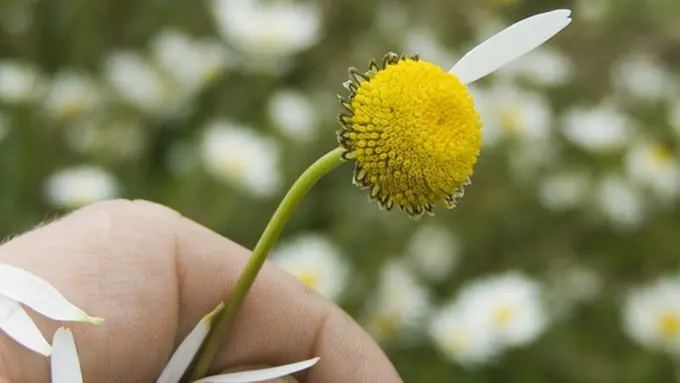 Foto: copyright thinkstockphotos.com