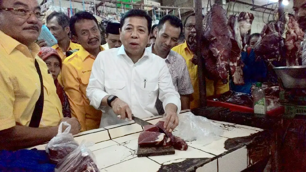 Ketum Partai Golkar Setya Novanto