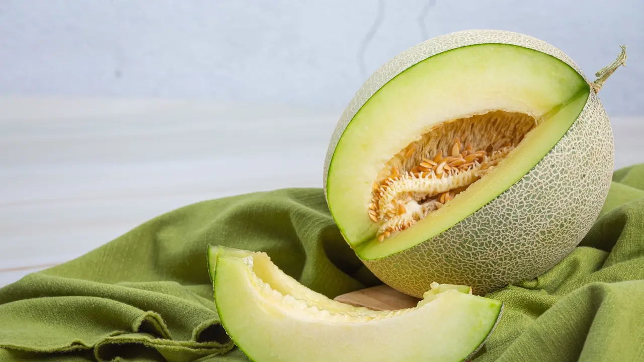 Buah Melon