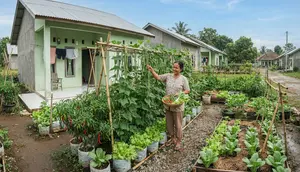 8 Ide Kebun Sayur untuk Rumah Subsidi Tanpa Menguras Anggaran, Bisa Petik Setiap Hari