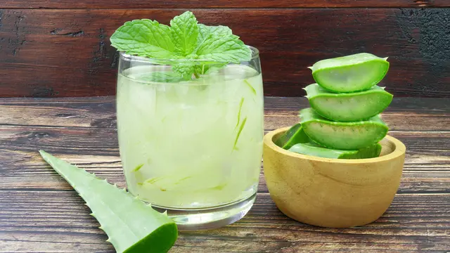resep minuman lidah buaya sehat
