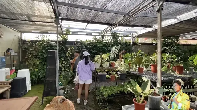 Potret Halaman Belakang Rumah Soimah di Jogja