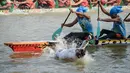 Tradisi tahunan ini tidak hanya menghadirkan perlombaan dayung yang menegangkan, tetapi juga memperlihatkan kekayaan budaya dan kearifan lokal masyarakat Kuantan Singingi (Kuansing) yang diwariskan turun-temurun. (Wahyudi/AFP)