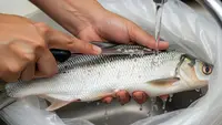 5 Cara Agar Duri Ikan Bandeng Lunak Tanpa Presto, Lezatnya Bikin Nagih