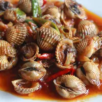 ilustrasi kerang dara/copyright Shutterstock