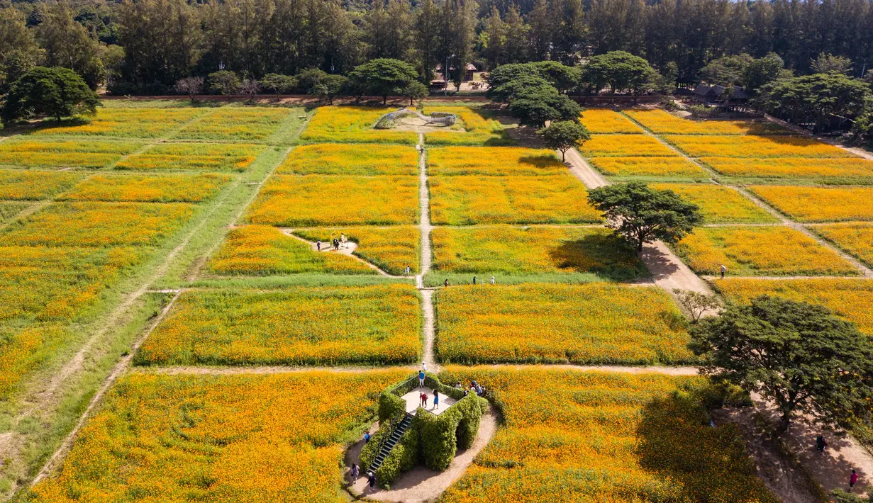 Foto dari udara memperlihatkan para turis mengunjungi Jim Thompson Farm, Provinsi Nakhon Ratchasima, Thailand, 19 Desember 2020. Sejak 2001, Jim Thompson Farm mulai membuka pintunya setiap tahun pada bulan Desember sebagai situs pertanian bagi pengunjung yang mencintai alam. (Xinhua/Zhang Keren)