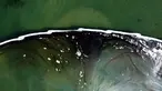 Foto udara menunjukkan penghalang dibuat untuk mencoba menghentikan tumpahan minyak ke Wetlands Talbert Marsh di Huntington Beach, California, Amerika Serikat, 4 Oktober 2021. Tumpahan sekitar 480 liter minyak mencemari laut dan pantai di California. (AP Photo/Ringo H.W. Chiu)
