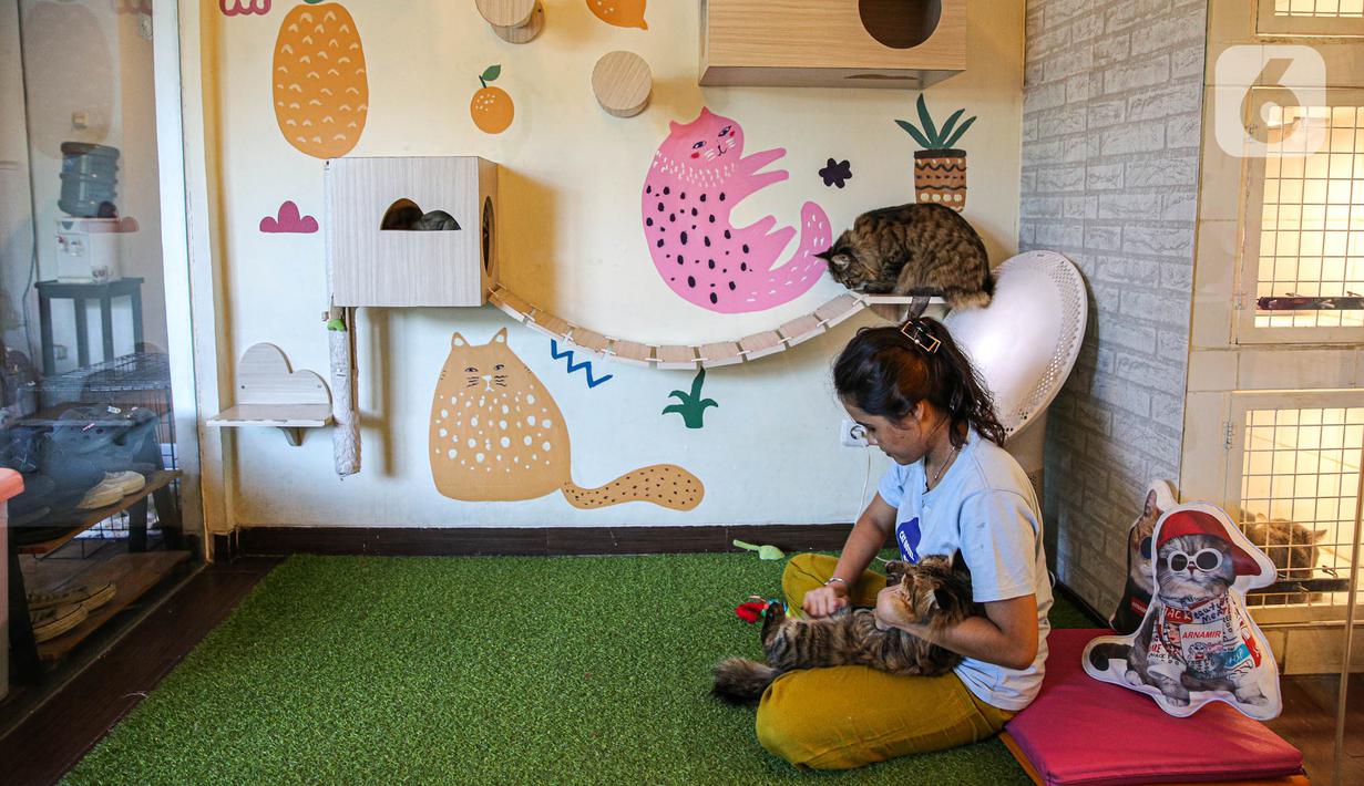 Saat high season, pengelola menetapkan tarif penitipan Rp 135.000 per hari, sedangkan pada hari biasa Rp 75.000 per hari. (Liputan6.com/Faizal Fanani)