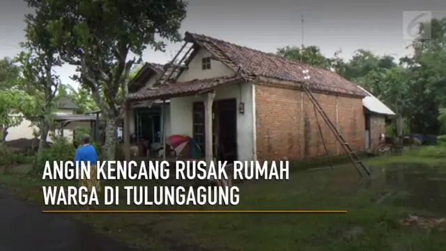 Bencana akibat cuaca ekstrem kembali terjadi di Tulungagung, mengakibatkan berlasan rumah rumah warga rusak, pohon-pohon bertumbangan, dan tanaman padi siap panen roboh.