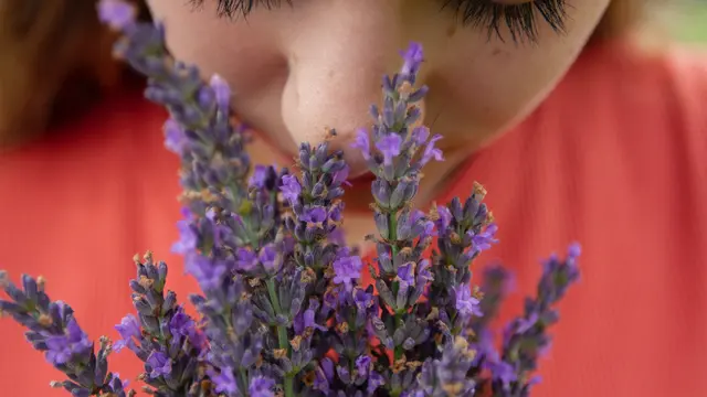 Aromaterapi