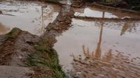 Ratusan hektar lahan pertanian milik warga Bangkonol, Desa Sukawening, Kecamatan Sukawening, Garut, Jawa Barat rusak tersapu banjir bandang yang terjadi sejak sore kemarin. (Liputan6.com/Jayadi Supriadin)
