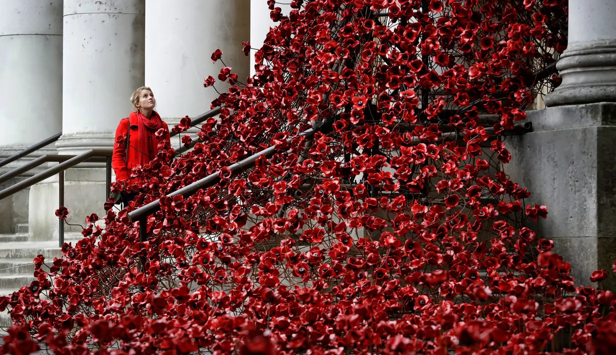 Anna Wigley mendongak ke arah karya seni bunga poppy bertajuk 'Weeping Window' di The Imperial War Museum, London, Kamis (4/10). Karya seni untuk memperingati Perang Dunia I itu akan dipajang hingga 18 November. (AP Photo/Kirsty Wigglesworth)