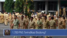 Daily TopNews hari ini akan menyajikan berita seputar 1.700 PNS teridikasi bodong? dan Hindari 4 kebiasaan yang bikin kulit tangan keriput.
Seperti apa berita lengkapnya? Simak dalam video berikut.