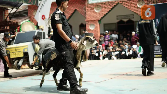 Hewan kurban dihias dengan kostum atribut polisi di Ponpes Dzikir Al Fath Sukabumi. (Liputan6.com/Fira Syahrin).