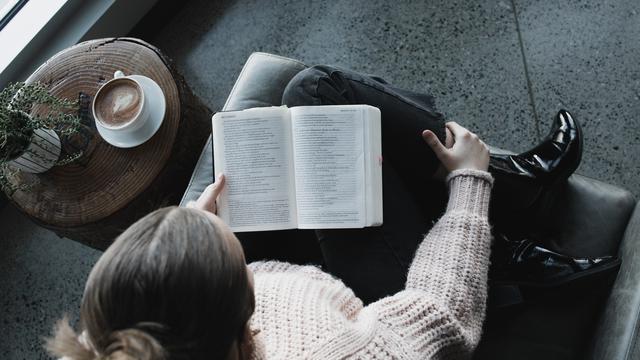 Ilustrasi pecinta buku