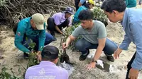50 Ekor Tukik Dilepas dan Penanaman 500 Bibit Mangrove di Pulau Sabira