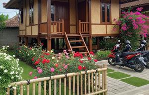 Gambar Rumah Sederhana 6x9 di Desa dengan Halaman Depan. Foto: Gemini