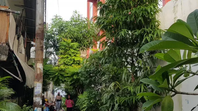 SDN Kampung Rawa 01/02 Johar Baru, Jakarta Pusat berada di tengah pemukiman warga. (dok warga)