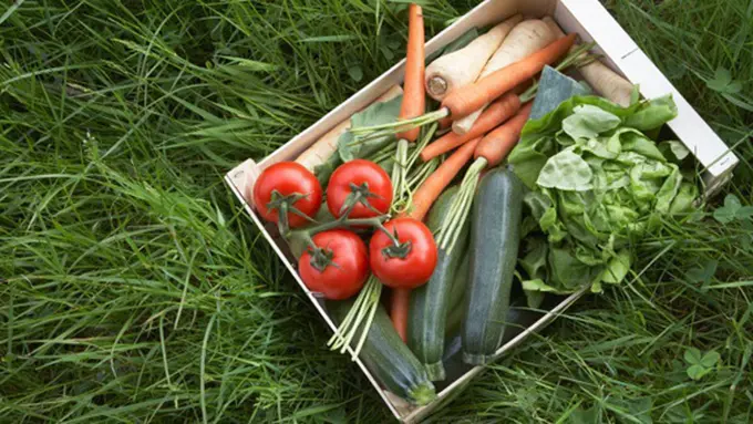 Foto Copyright thinkstockphotos.com