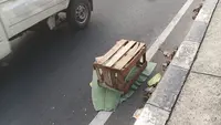 Jasad bayi yang hancur ditutupi daun pisang yang berada di fly over Jalan Raya Tanah Baru, Depok. (Liputan6.com/Dicky Agung Prihanto)