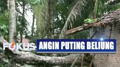 Beberapa pohon tumbang menimpa kabel listrik sehingga jaringan listrik jadi terganggu.