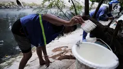 Petugas Suku Dinas Tata Air melakukan pengecatan bantaran Kali Gresik, Menteng, Jakarta, Minggu (29/10). Kali Gresik juga disebut sistem drainase Menteng adalah kali percontohan di Ibu Kota untuk tidak membuang sampah di kali. (Liputan6.com/Faizal Fanani)