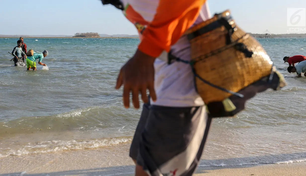 Warga mencari kerang laut di pesisir pantai Pulau Pasir, Lombok Timur, Sabtu (3/8/2019). Mereka menangkap kerang untuk dikonsumsi dengan menggunakan alat sederhana yang dibuat dengan besi menyerupai garpu. (Liputan6.com/Fery Pradolo)