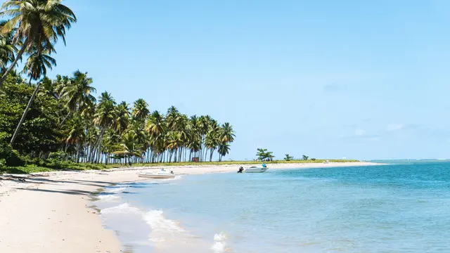 Ilustrasi Pantai.