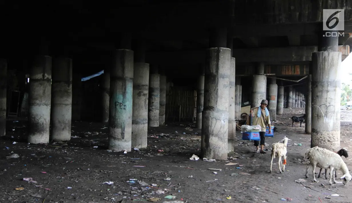 Pedagang berjalan di permukiman kolong Jalan Tol Pelabuhan, Tanjung Priok, Jakarta, Senin (23/4). Mahalnya harga hunian di Ibu Kota membuat mereka tinggal di kawasan tersebut meski dengan kondisi lingkungan kumuh dan kotor. (Liputan6.com/Arya Manggala)