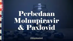Setelah kemunculan Molnupiravir, kini Pfizer merilis obat terapi Covid-19 bernama Paxlovid. Apa perbedaan keduanya? Lalu mana yang lebih tinggi efikasinya? Kita bahas di Eksplanatori.