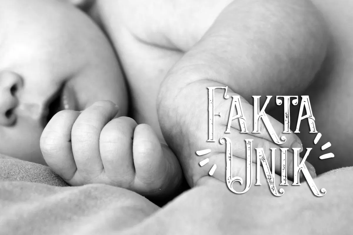 [Bintang] Fakta Unik