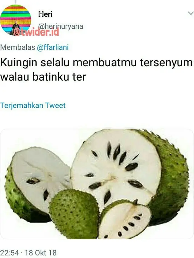 Kejeniusan Warganet Bikin 9 Cuitan Receh Bergambar Ini Kocak Banget