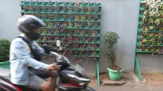 Pengendara melintas di dekat tanaman berkonsep vertikal di Kramat Pela, Jakarta, Selasa (27/8/2019). Minimnya lahan kosong di Ibu kota membuat warga memanfaatkan lahan  untuk bercocok tanam agar terciptanya lingkungan yang bersih, hijau, sehat dan nyaman. (Liputan6.com/Herman Zakharia)