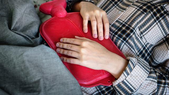 Ilustrasi hemeostasis