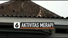 Ratusan kera liar di sekitar Gunung Merapi mendadak turun ke permukiman warga. Keberadaannya berkaitan dengan meningkatnya aktivitas Gunung Merapi.