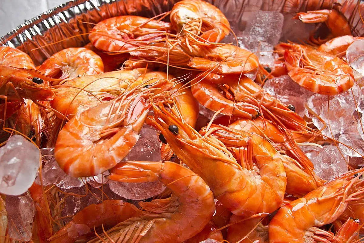 Ilustrasi udang