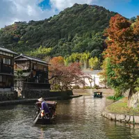 5 Negara yang Terkenal Paling Bersih dan Tertata./copyright. pexels/