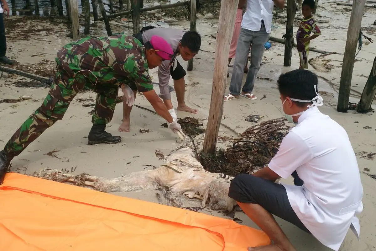 kerangka mayat