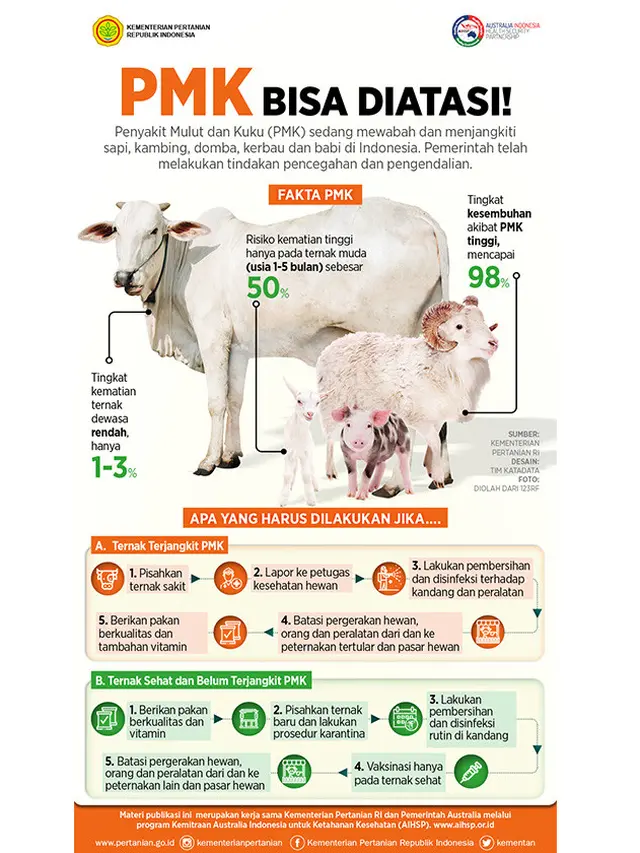 Infograsi Fakta PMK.