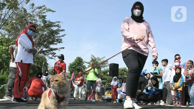 Lomba Hias Kucing Rumahan Sambut HUT ke-77 RI