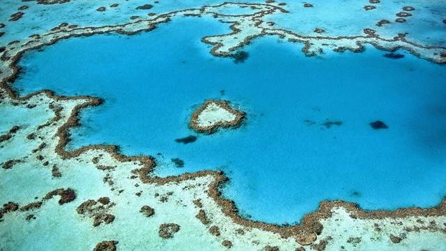 The Great Barrier Reef