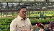 Wakil Menteri Pertanian (Wamentan) Sudaryono. (Foto: Liputan6.com/Tira Santia)