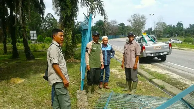 Pagar pembatas di PT Chevron roboh ketika gajah Seruni berpindah lokasi.