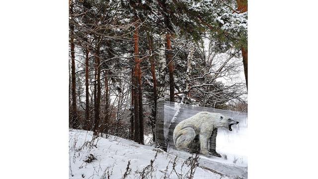 Pria Ini Buat Lukisan Hewan di Atas Plastik, 7 Hasilnya Mengagumkan