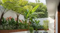 9 Desain Halaman Belakang Rumah Minimalis dengan Rumput Sintetis, Minim Perawatan