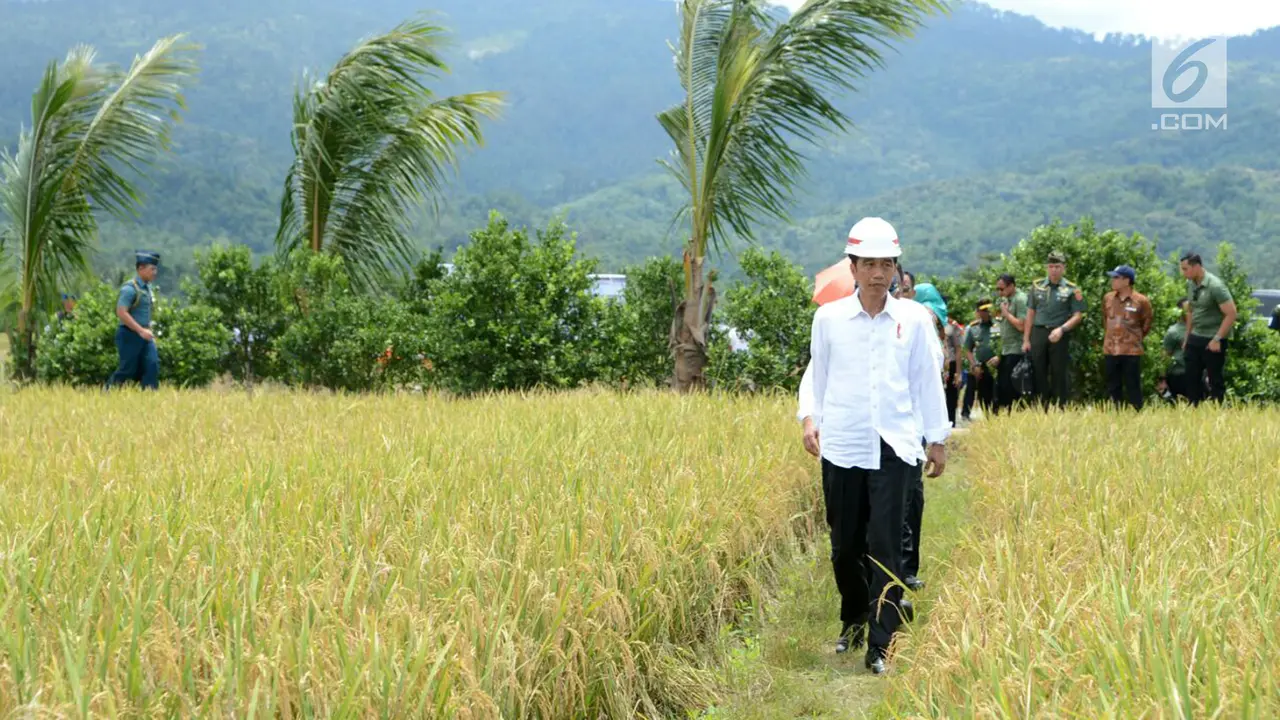 Lewat Padat Karya Tunai, Jokowi Berharap Daya Beli Masyarakat Meningkat