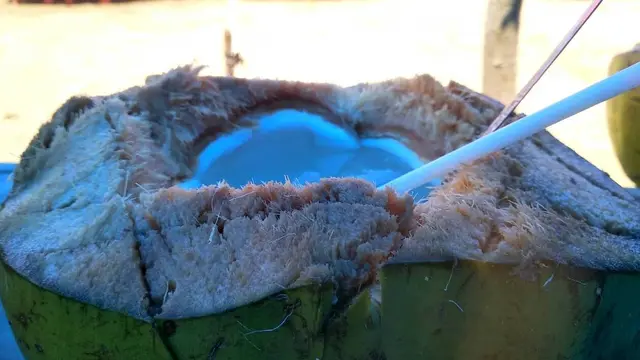 Kelapa Muda