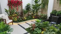 9 Ide Kebun Rumah yang Tetap Cantik Meski Jarang Disiram, Indah Sepanjang Masa