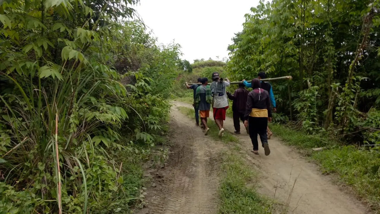 Warga kampung terisolir ditandu puluhan kilometer karena pendarahan saat hendak melahirkan (Abdul Rajab Umar/Liputan6.com)